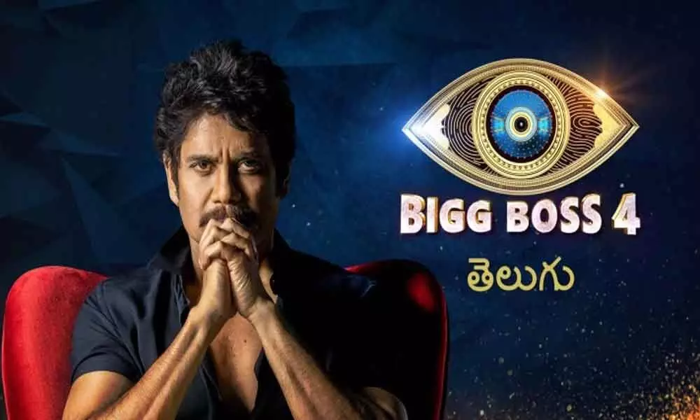 Bigg Boss 4 Telugu Finale