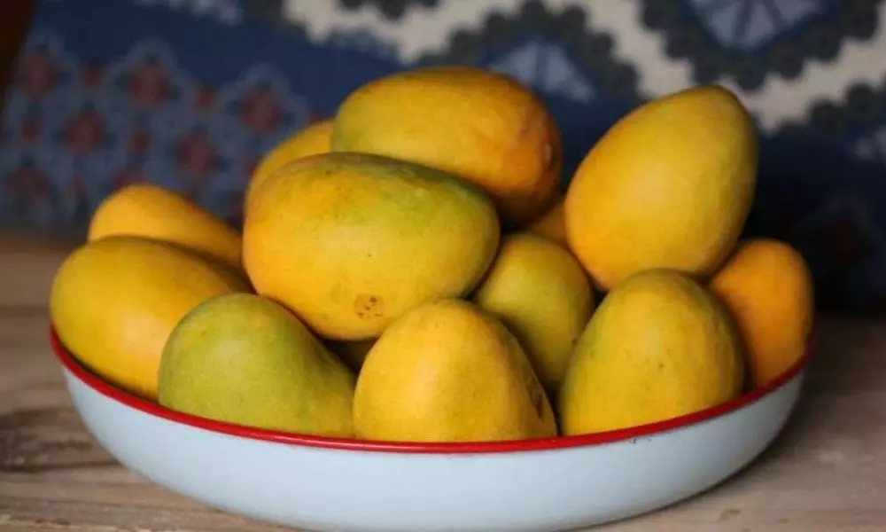 Eating mangoes reduces womens facial wrinkles: Study