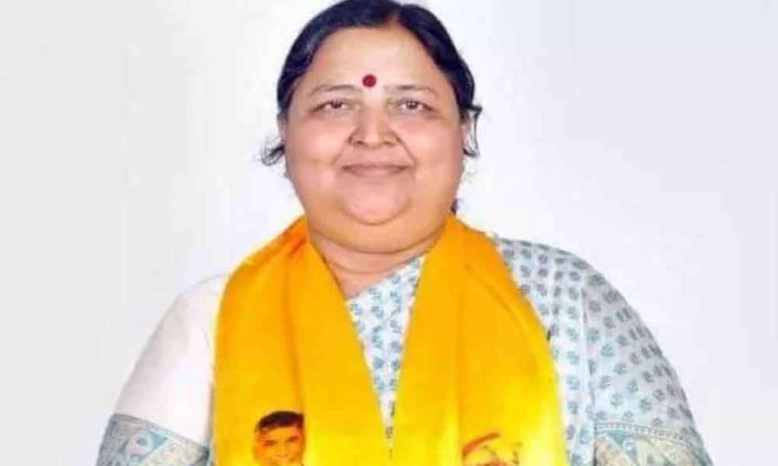 Nellore: TDP leaders not sure on Panabaka contest
