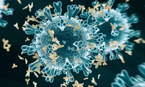 Covid antibodies detected up to 3 months after infection: Study