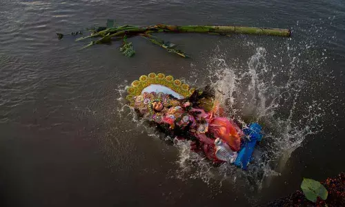 Activists remove tons of garbage, immersed idols from Yamuna