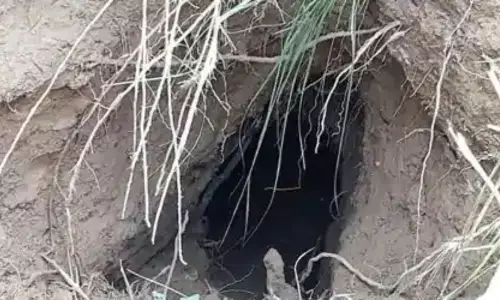 BSF unearths tunnel on international border in J&Ks Samba