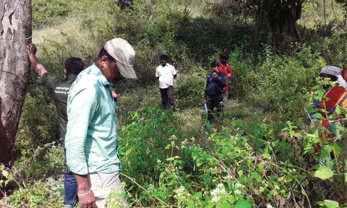 Land sharks exploit ambiguity to encroach on elephant corridor