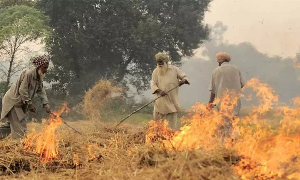 Madhya Pradesh government to set up plant for clean fuel from stubble burning