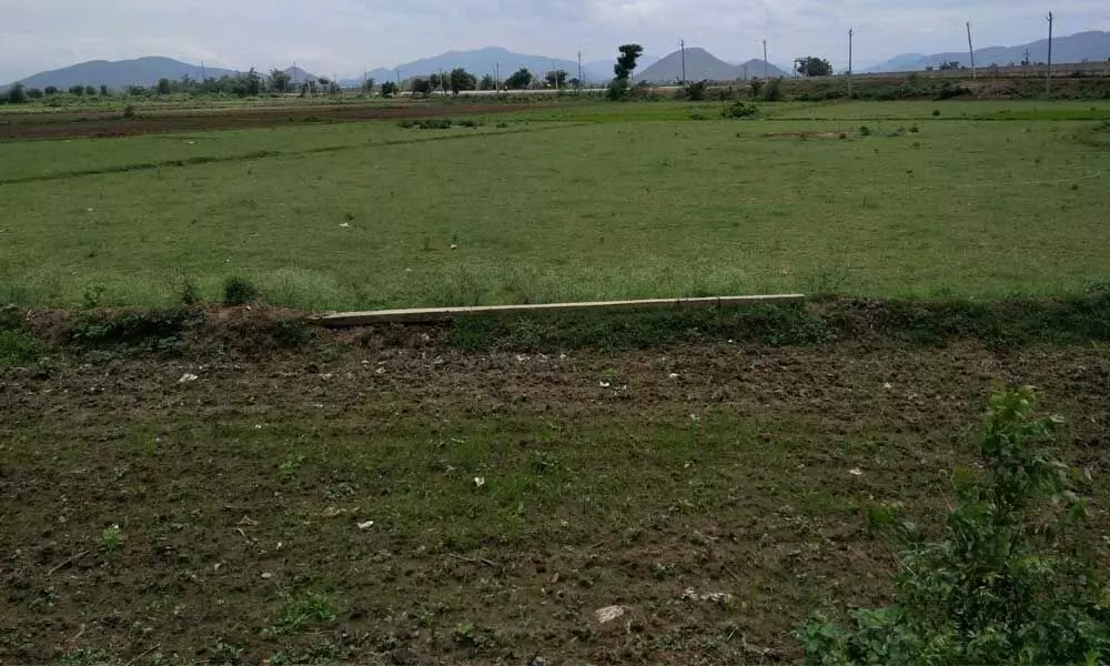 Agriculture land left uncultivated due to water scarcity at Kondapeta in Poduru mandal in Srikakulam district