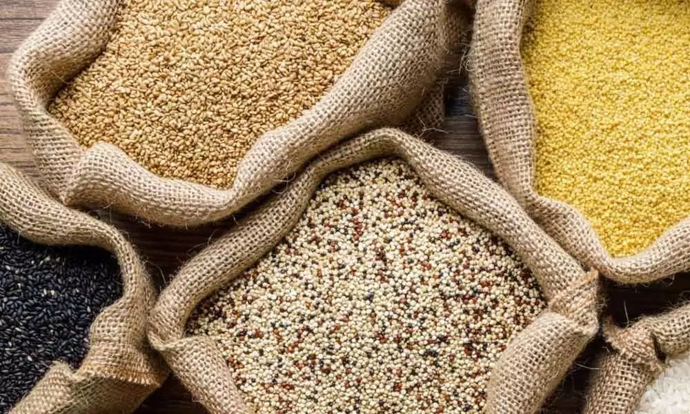 High moisture content in millets worries farmers