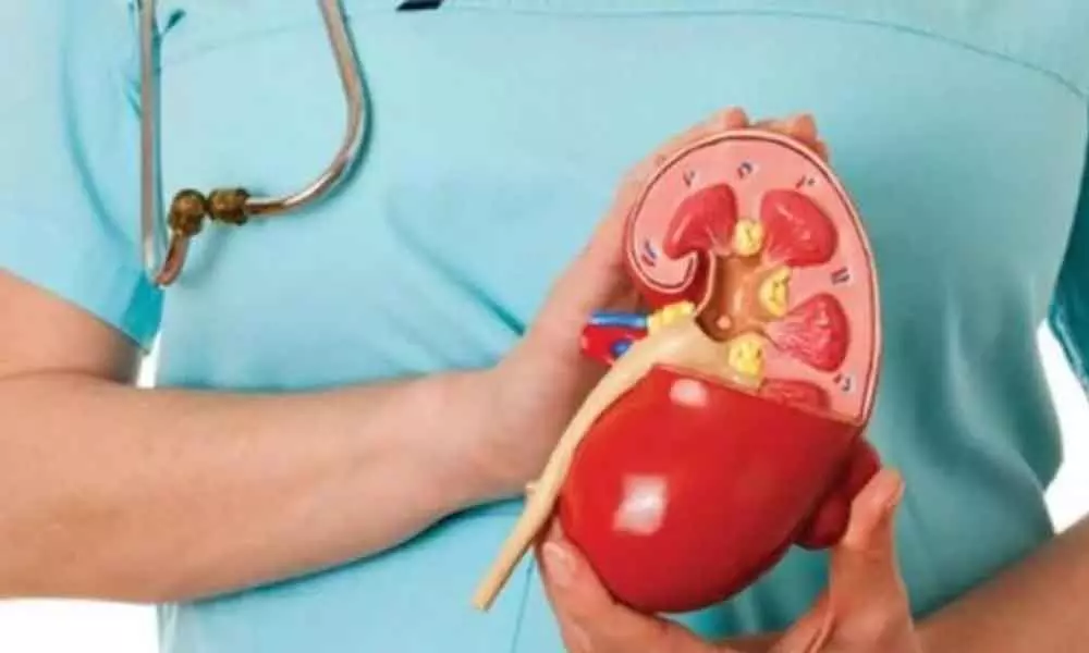 Doctors say cadaver kidney transplantation dropped after Covid outbreak