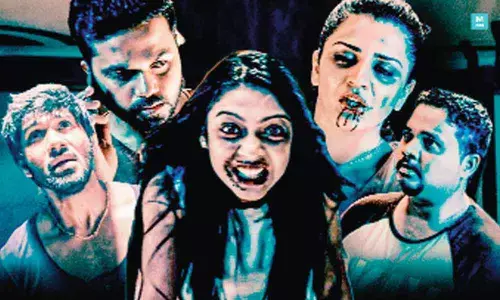 Mane Number 13 Movie Review: Fails to scare audience