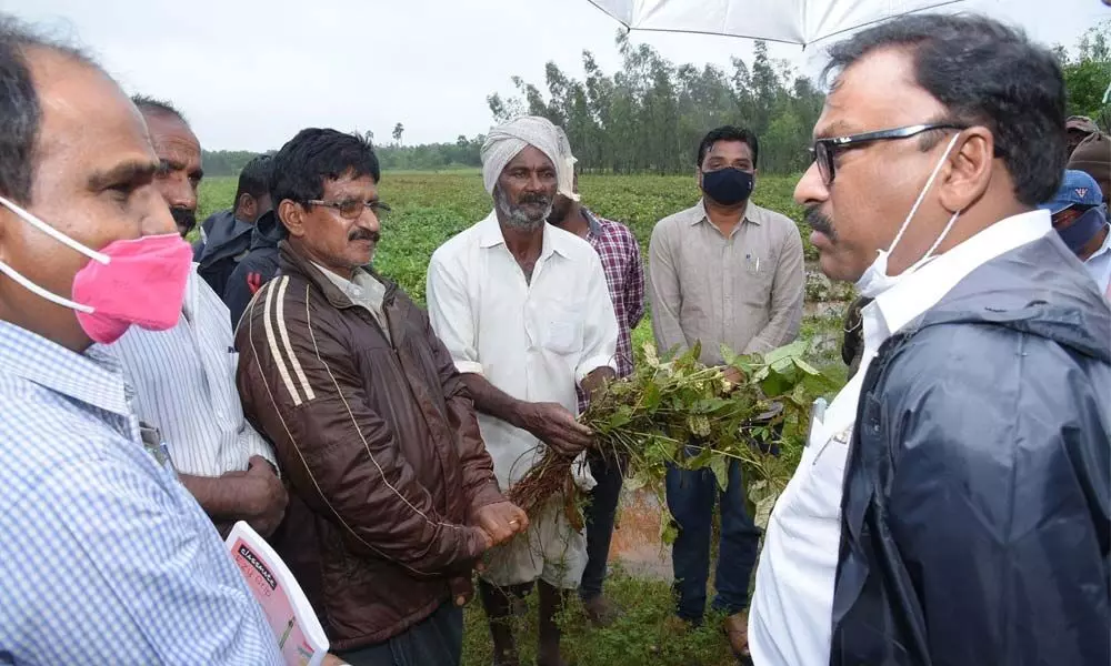 Prakasam District Collector Dr Pola Bhaskara