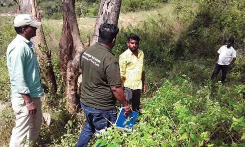 Forest department fails to show guts to free BNP land from encroachers