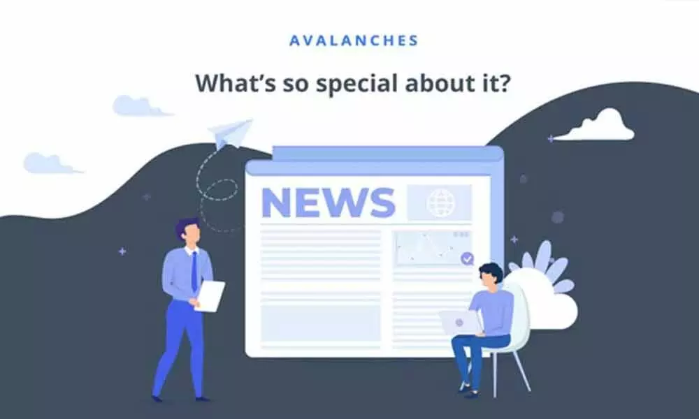 Avalanches – new and unique way to learn what is happening worldwide