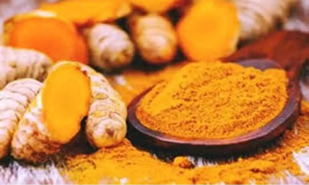 Domestic and export demand for turmeric on consistent rise during Corona period