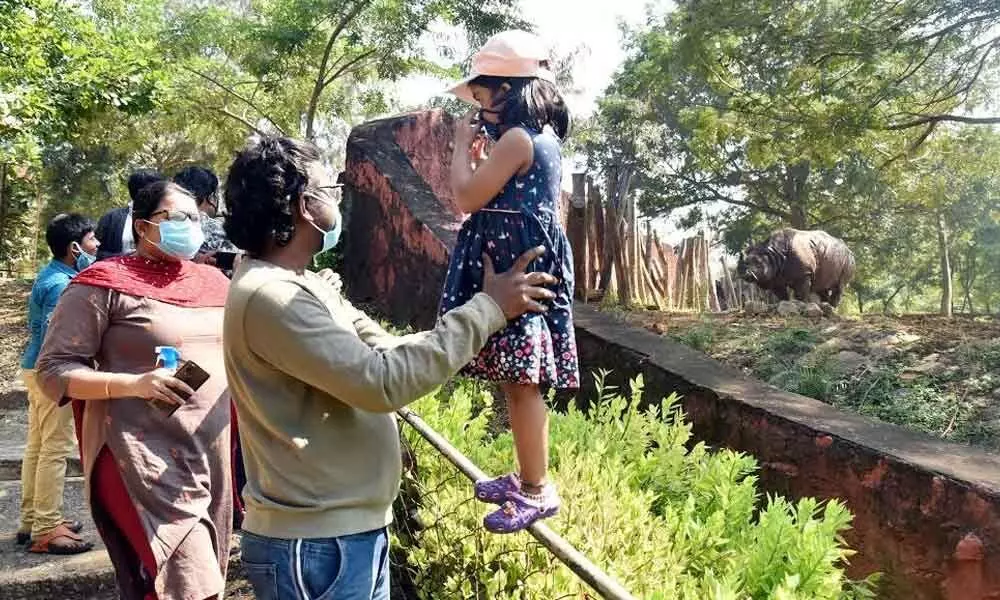 Picnickers having fun at Indira Gandhi Zoological Park in Visakhapatnam on Sunday