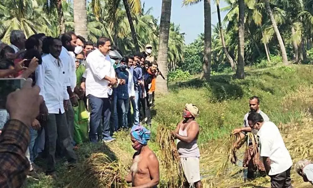 Social Welfare Minister Pinipe Vishwaroop interacting with farmers at Uppalaguptam in Amalapuram Rural on Sunday