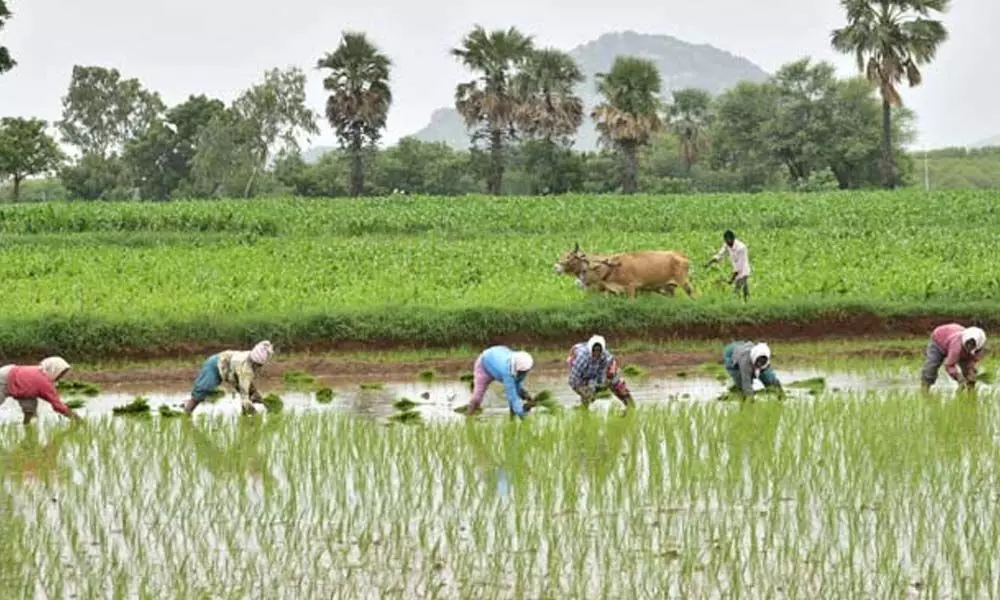 Govt may hike farm credit target to about Rs 19L cr