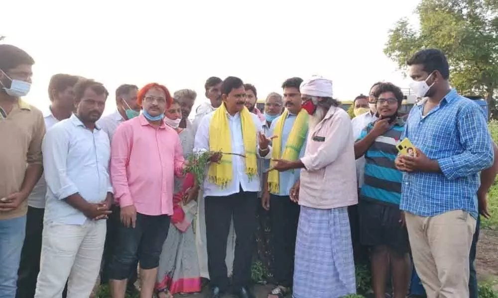 Devineni Umamaheswara Rao and Yeluri Sambasiva Rao interacting with farmers at Chinna Nandipadu village on Sunday