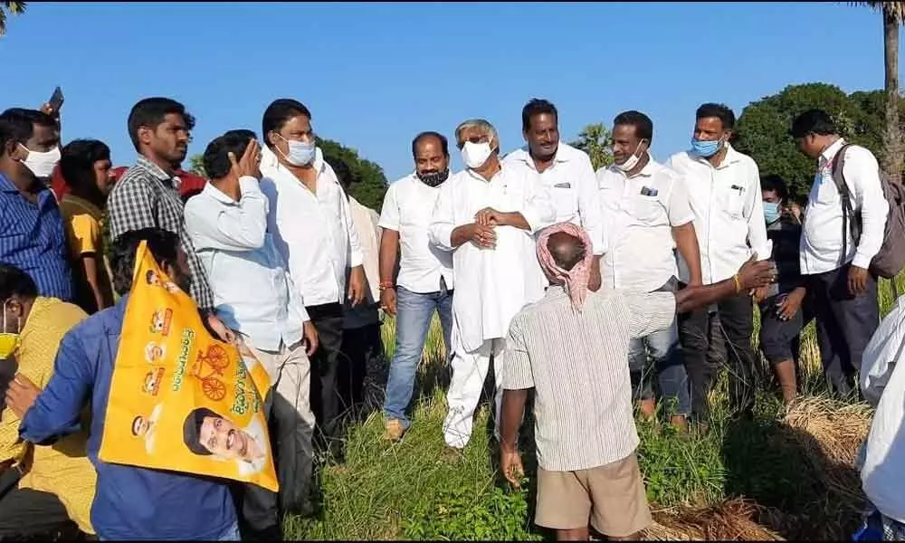 TDP State Vice-President Jyothula Nehru visiting damaged paddy fields  in Krishnunipalem on Sunday