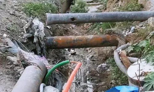 Threat of vector-borne diseases looming