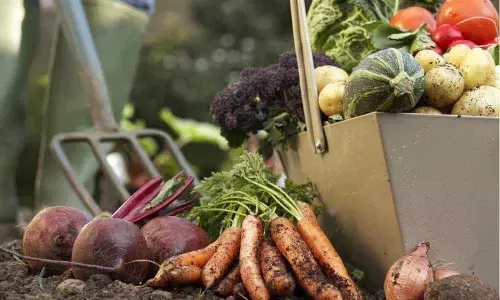 Healthy soil required to cultivate wholesome food