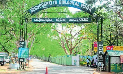 Dirt bike races near BNP pose threat to wildlife