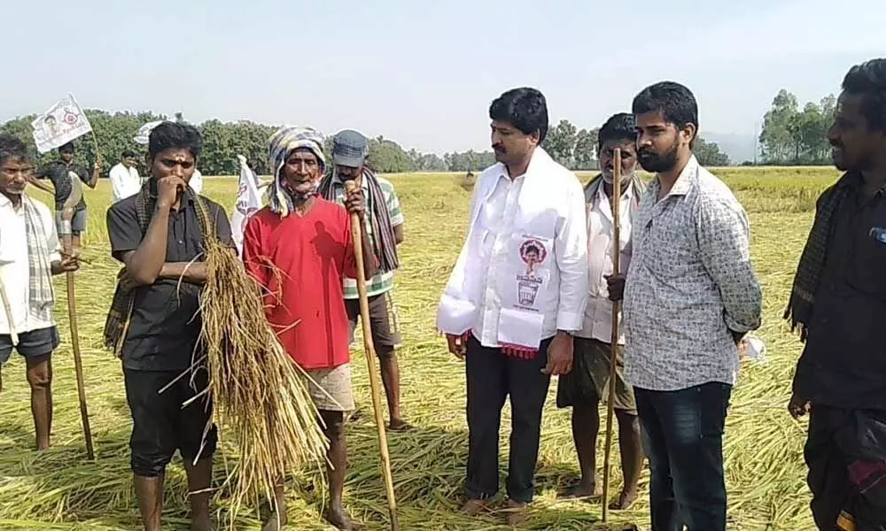 Jana Sena Party Jaggampeta constituency in-charge P Surya Chandra visiting damaged crops in Gokavarammandal on Tuesday