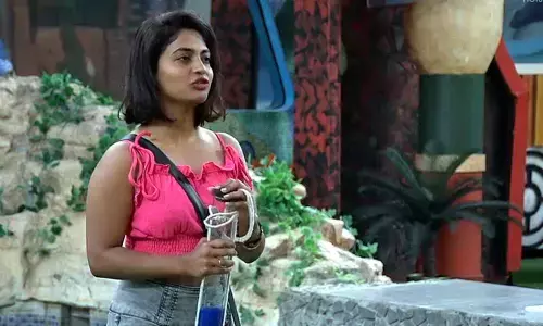 Bigg Boss Telugu: Harika breaks Abhijeet