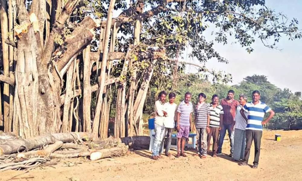 The officials of Panchayat Raj fined a man of Rs 8,000 for cutting down the branches of a 50-year-old tree at his village in Julapalli of Peddapalli district on Tuesday.