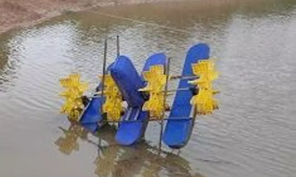 A damaged aerator in an aqua pond