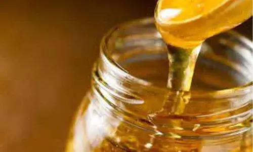 Sugar syrup in major honey brands