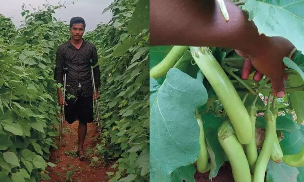 Cancer fails to stop youth from becoming successful farmer
