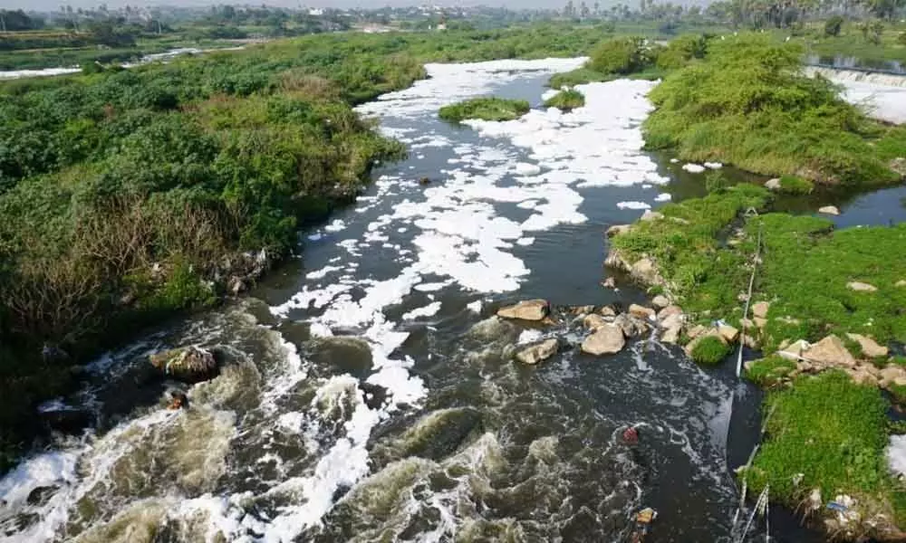 “The film is becoming popular and one hopes that at least now after 30 years, the PCB wakes up and implements court  orders.” 	-Rekha Nair, environmental activist