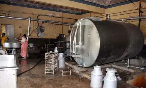 Rajamahendravaram: Amul to take over Godavari Dairy