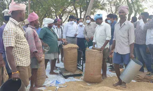 Officials inspecting purchase of the discoloured paddy from farmers