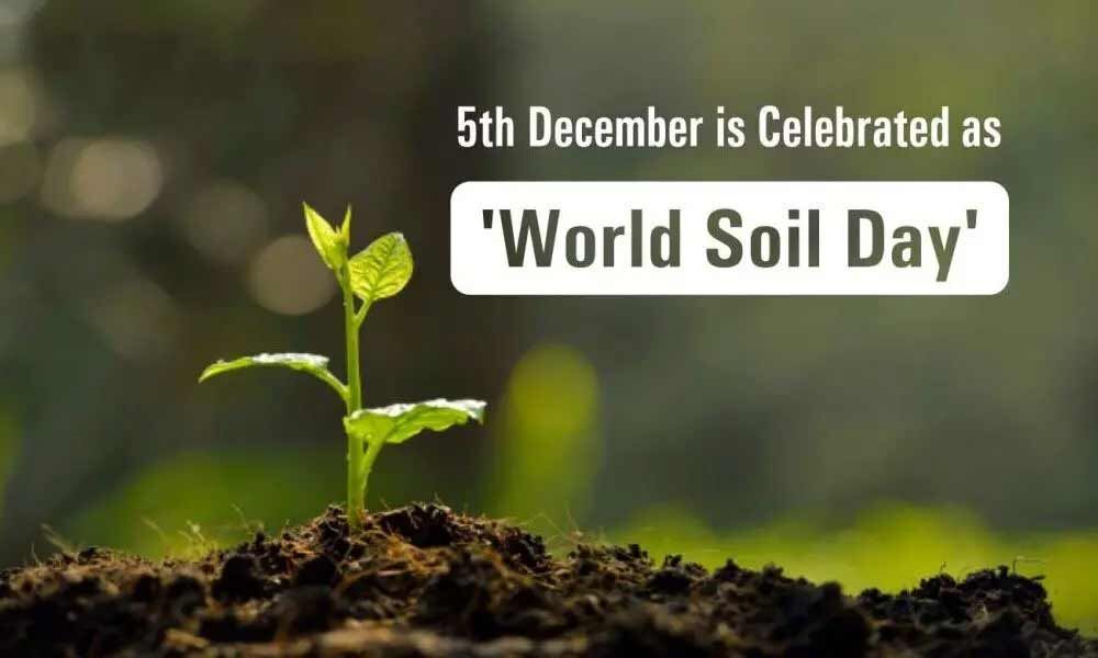 World Soil Day 2020 All you need to know the problems that soil face