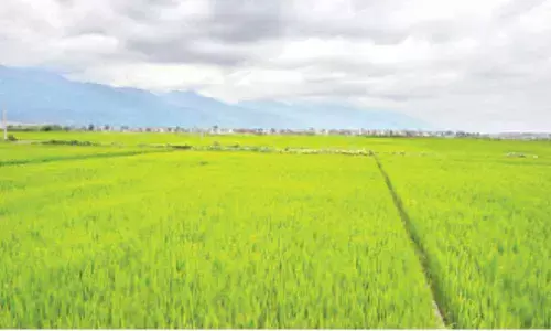 Farmers gear up for rabi season