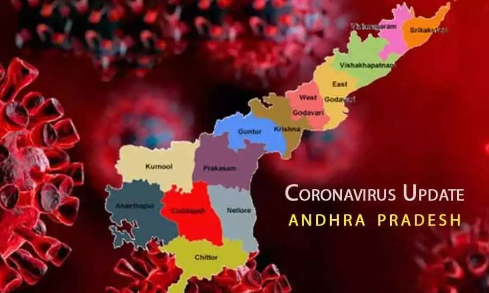 Andhra Pradesh reports 667 new positive cases taking tally to 8,71,972