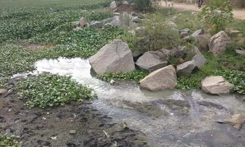 Miyapur lakes turn cesspools due to neglect