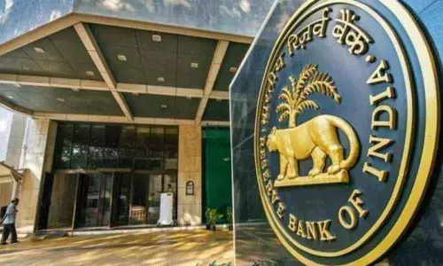 Ins & outs of fickle Indian financial system