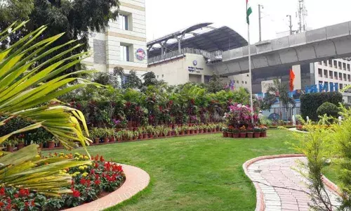 HMRL wins 8 Garden Fest prizes