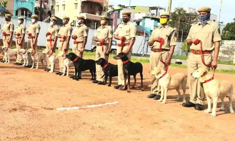 Handlers and the trained canines at Kailasagiri Armed Reserve Office in Visakhapatnam.