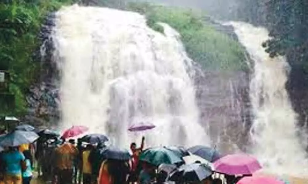 Tourism picks up  in Mysuru, Kodagu