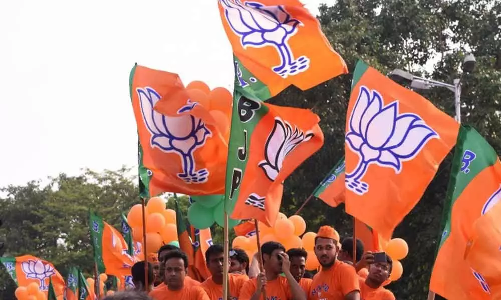 BJP Leading In Most Seats In Rajasthan Local Body Elections: Official