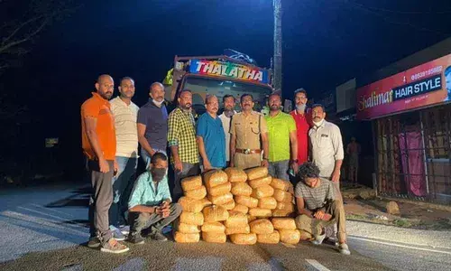 Kerala: 100 Kg Ganja Seized From Wayanad, 2 Held