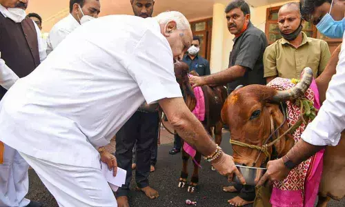 CM Yediyurappa does ‘gau pooja’