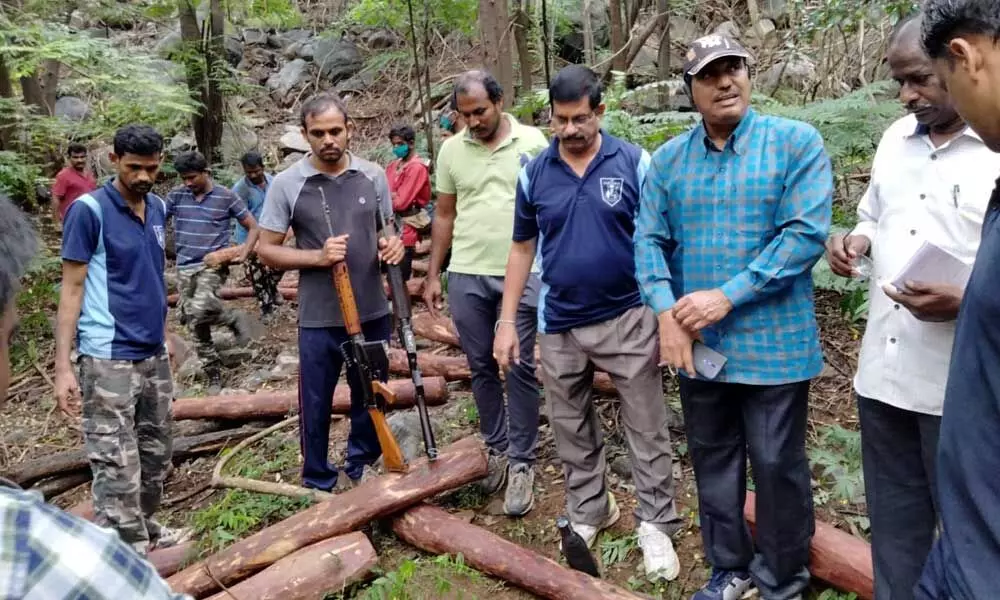 Task force police seized 30 RS logs , arrested on smuggler