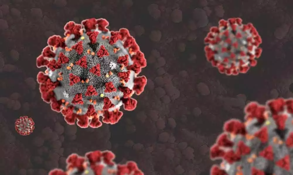 Coronavirus in Telangana: Mutated corona creates scare