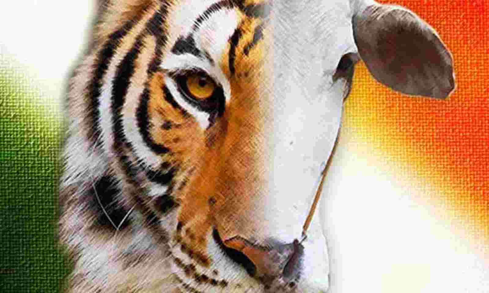 Which should be the national animal - Tiger or Cow? See what our readers  has to say