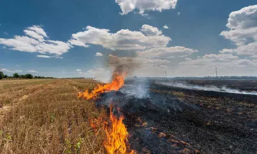 India needs more than laws to stamp out farm fires