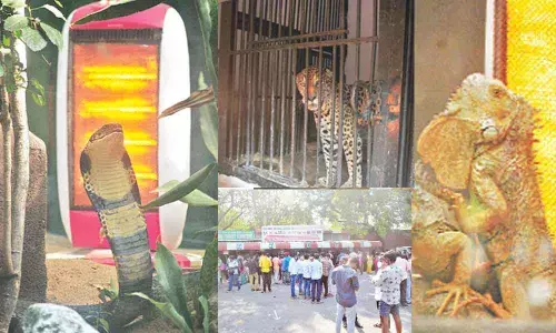 Special arrangements to keep zoo inmates warm