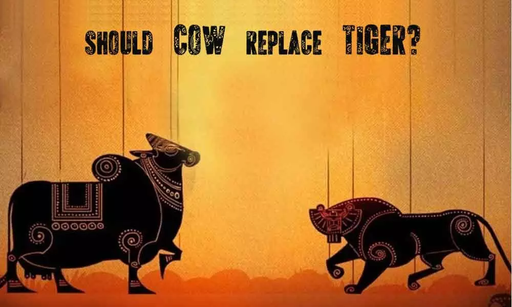National animal: Should cow replace tiger?